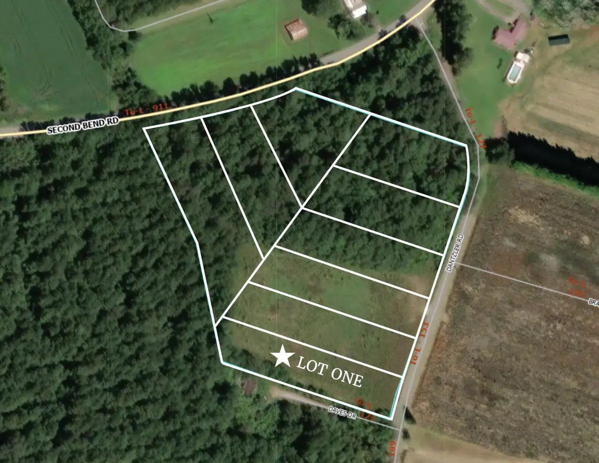 Lot 1 Dantzler Road, Harleyville, SC 29448 - #1