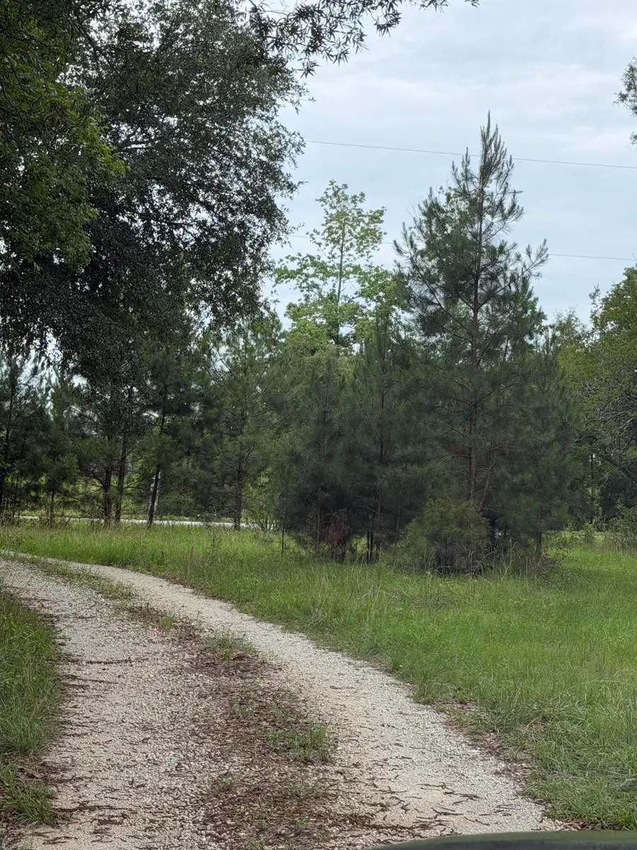00 State Road, Holly Hill, SC 29059 - #2