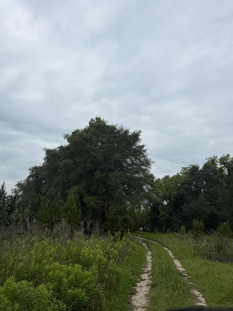 00 State Road, Holly Hill, SC 29059 - #3