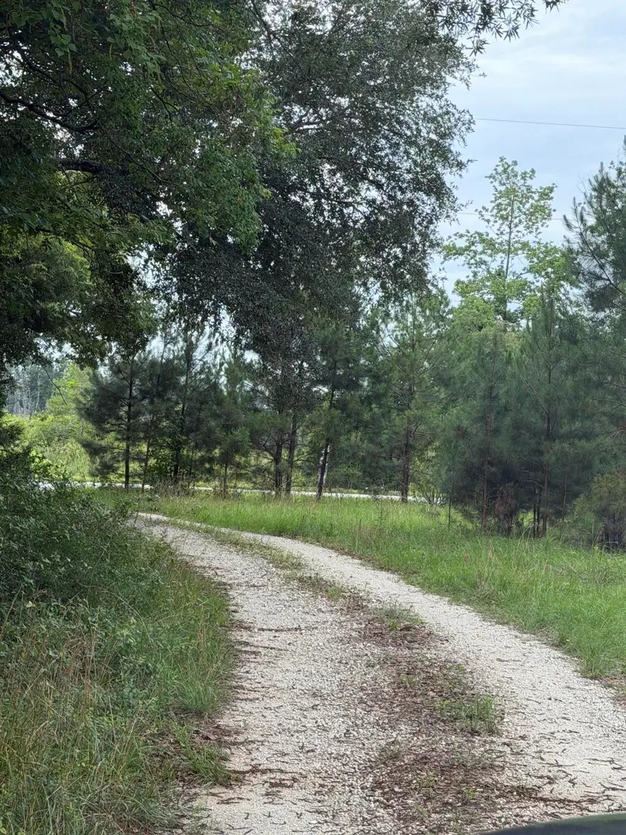 000 State, Holly Hill, SC 29059 - #2