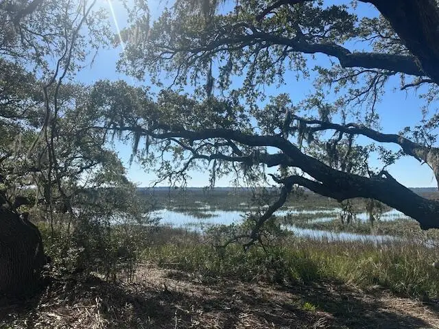 0 Legareville Road #Lot 9, Johns Island, SC 29455 - #2