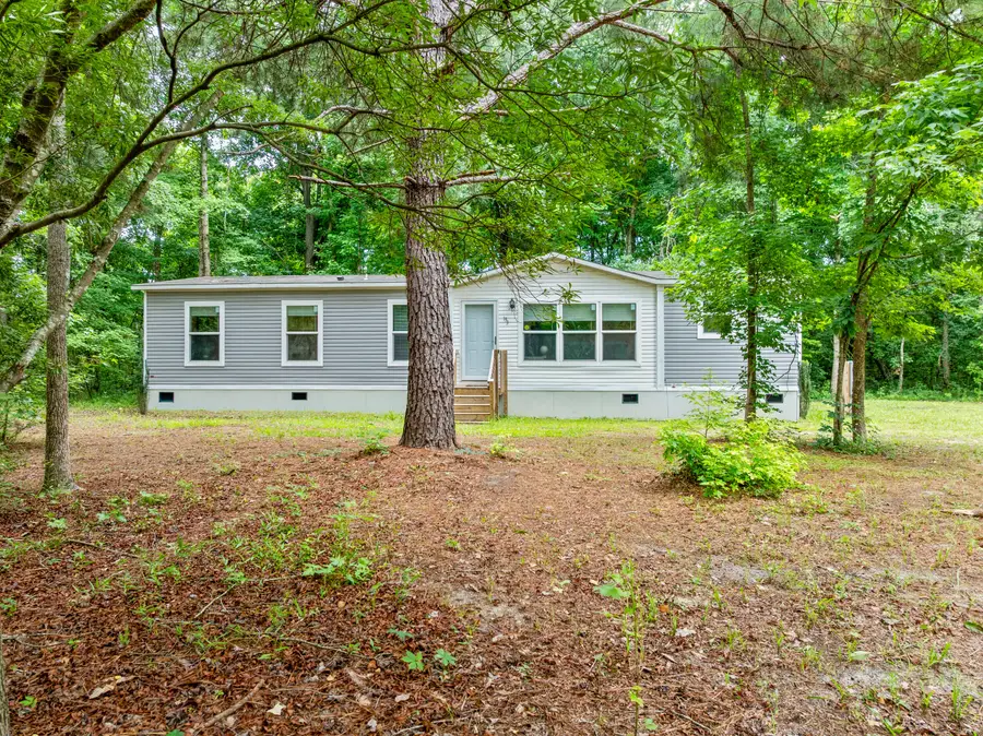 193 Mott Drive, Cope, SC 29038 - #2