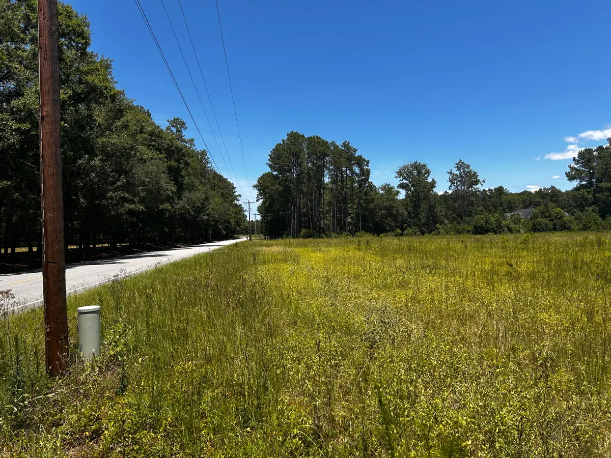 0 Cane Branch Road, Walterboro, SC 29488 - #1