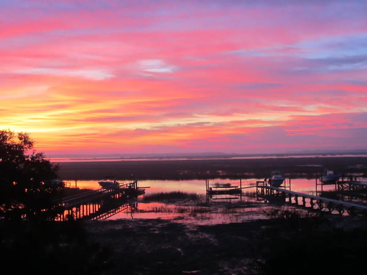 5027 Barrier Island Court, Mount Pleasant, SC 29466 - #1