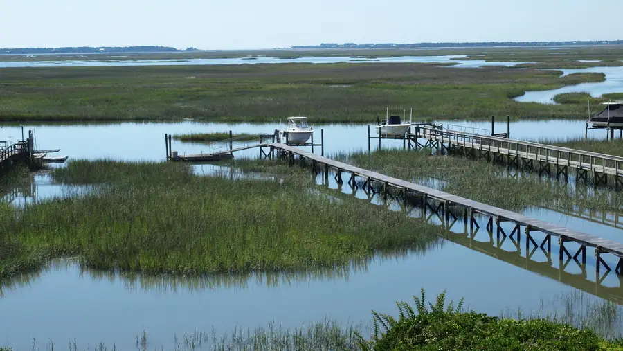 5027 Barrier Island Court, Mount Pleasant, SC 29466 - #3