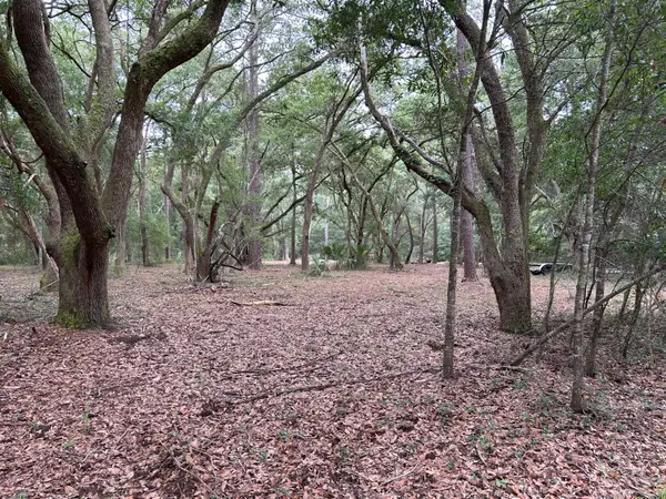 1470 Marsh Bluff Court, Edisto Island, SC 29438