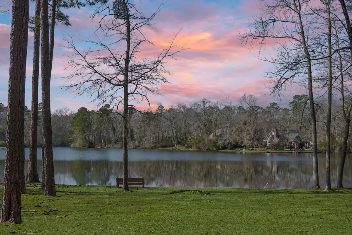 1 Santee Lakes Court, Elloree, SC 29047 - #1