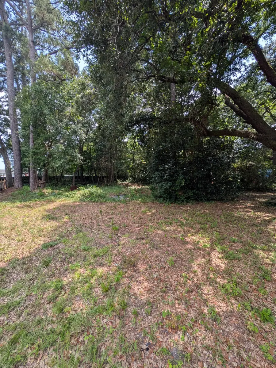 1113 Melvin Drive, Hanahan, SC 29410 - #2