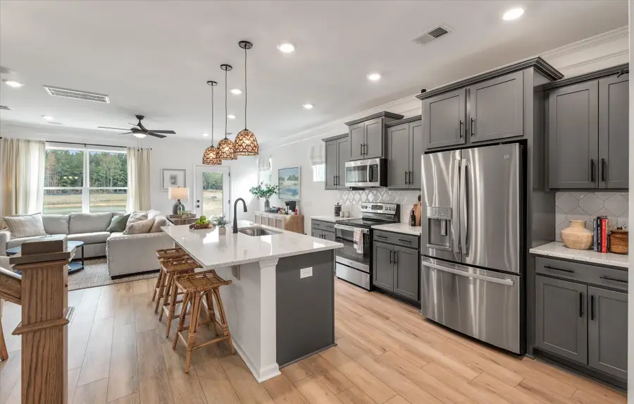 407 Painted Lady Lane, Goose Creek, SC 29445 - #2