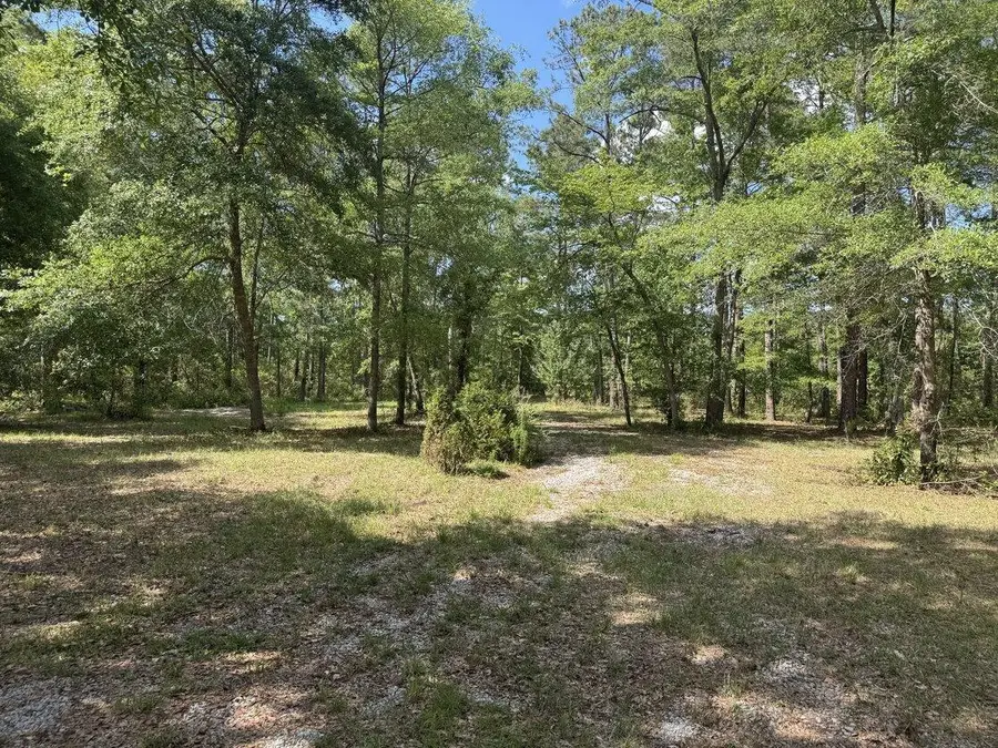 3452 Cypress Pond Road, Walterboro, SC 29488 - #3