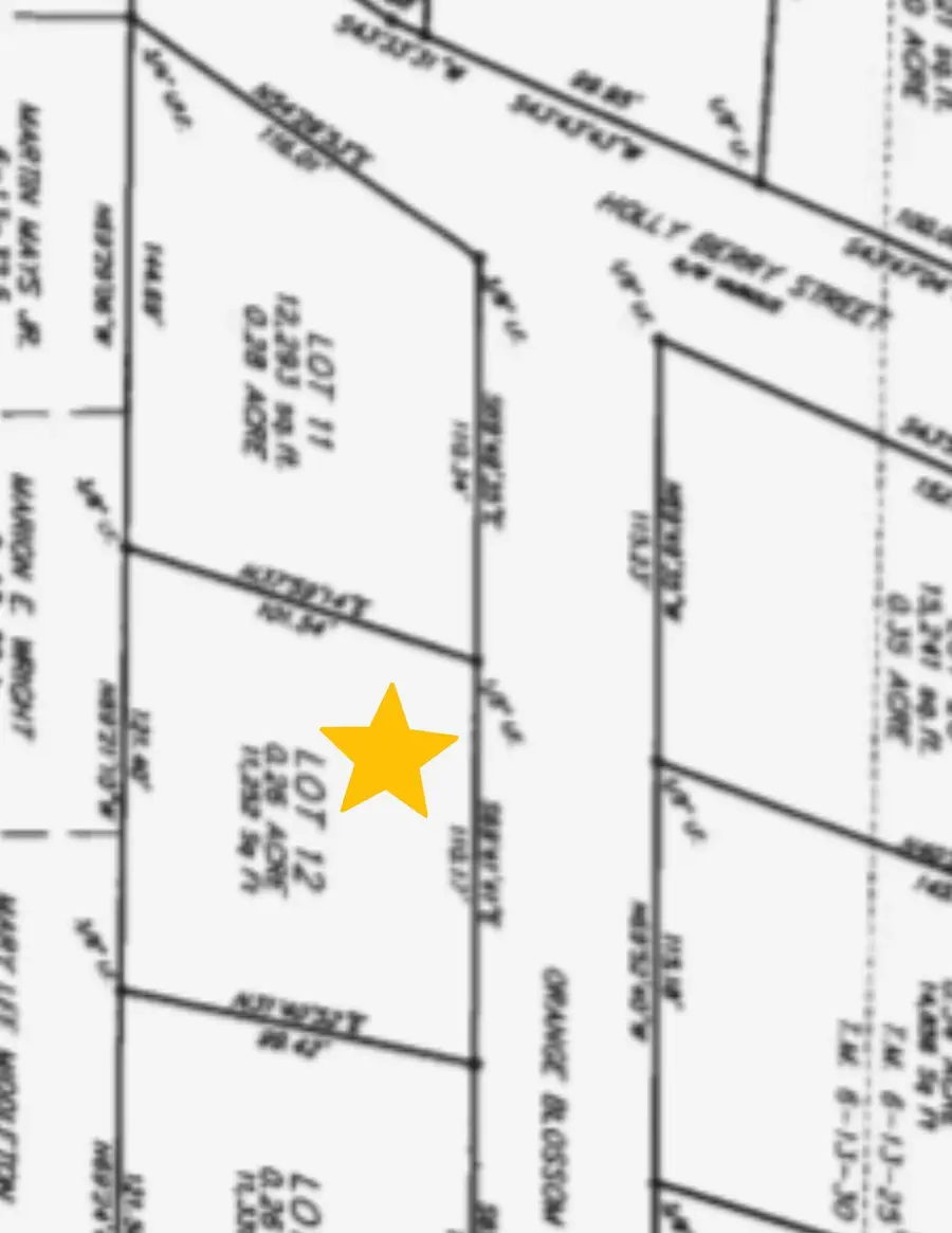 0 Orange Blossom Street, Andrews, SC 29510 - #2