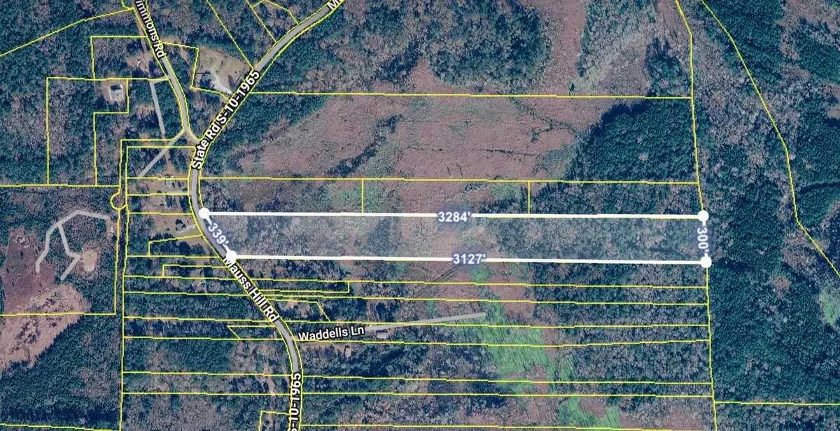 0 Mauss Hill Road, Adams Run, SC 29426 - #1