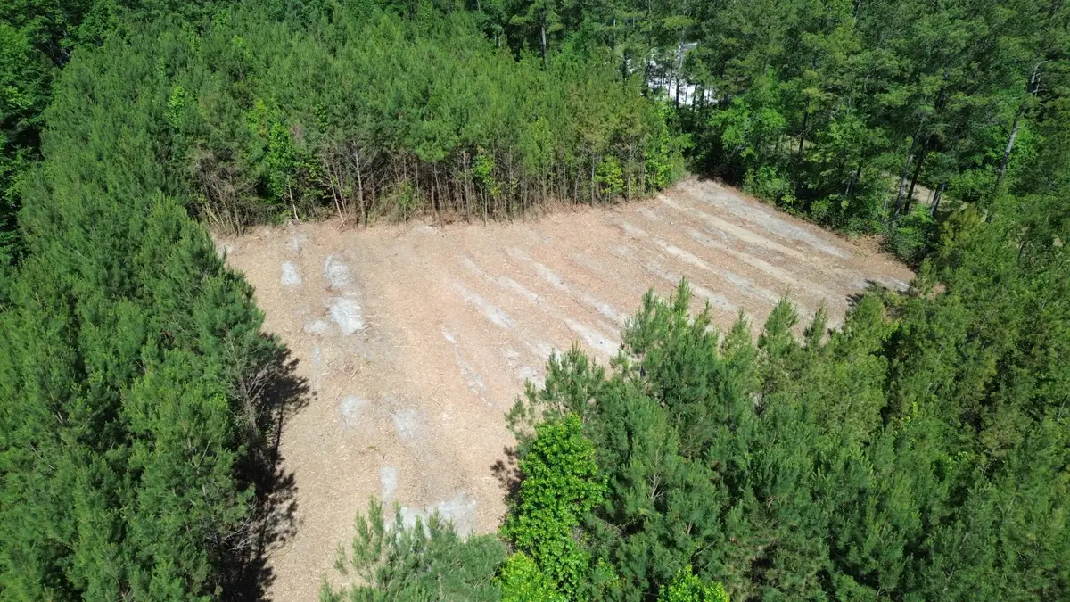 1 Highway 311, Cross, SC 29436 - #1