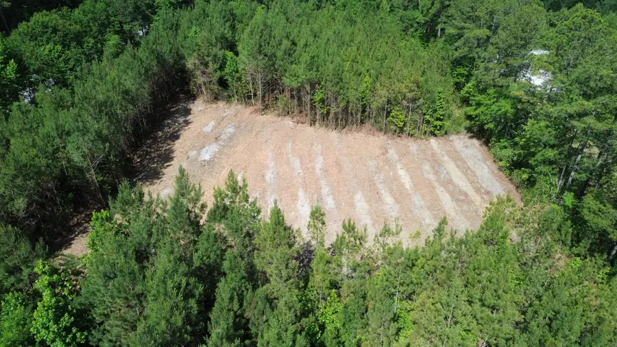 1 Highway 311, Cross, SC 29436 - #3