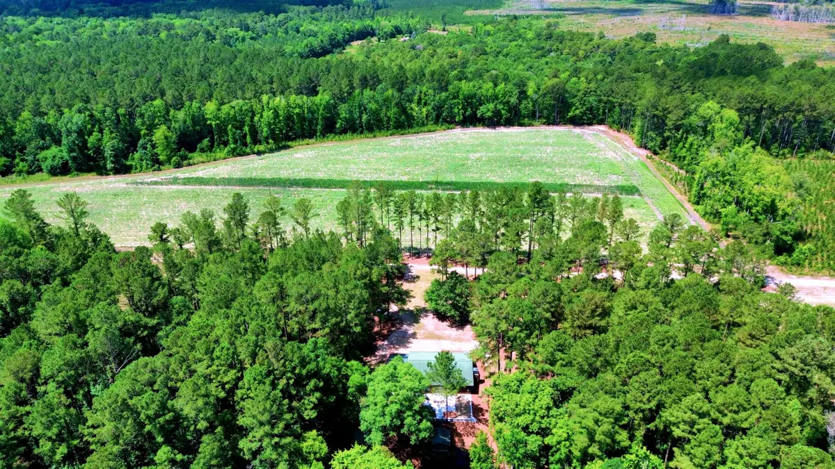 1970 Cross Swamp Road, Lodge, SC 29082 - #1