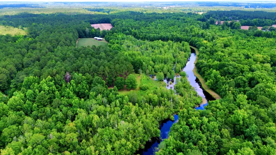 1970 Cross Swamp Road, Lodge, SC 29082 - #2