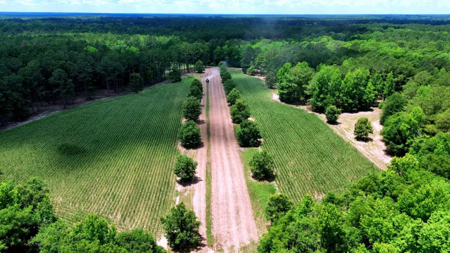 1970 Cross Swamp Road, Lodge, SC 29082 - #3