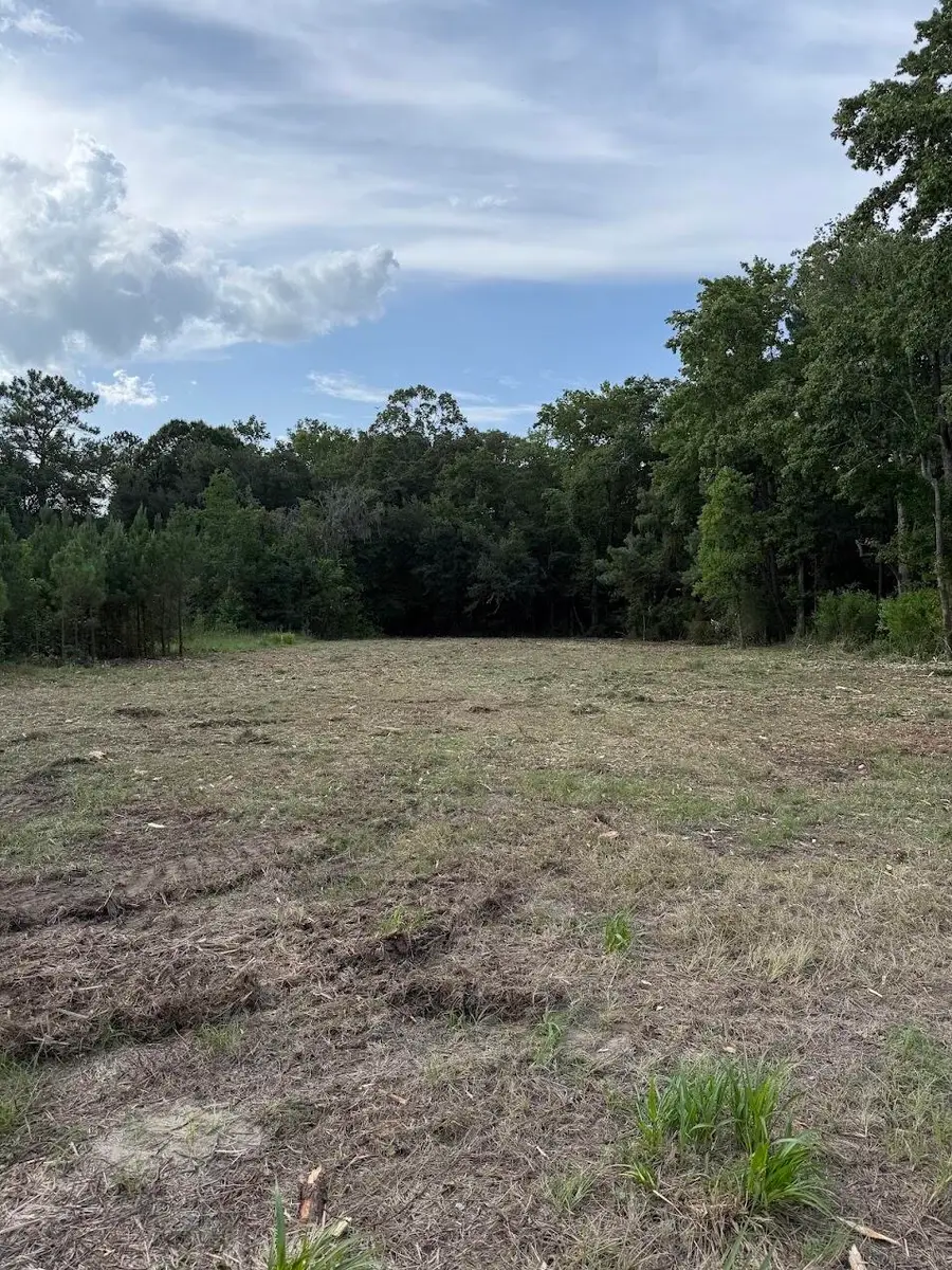 3820 Savannah Highway, Johns Island, SC 29455 - #2