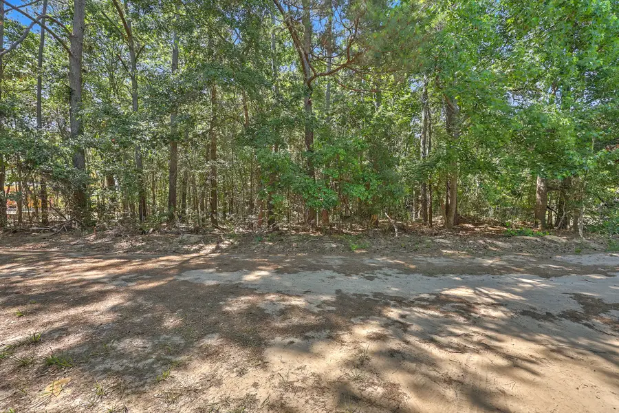 Lot 6 Nelson View Drive, Mount Pleasant, SC 29429 - #2