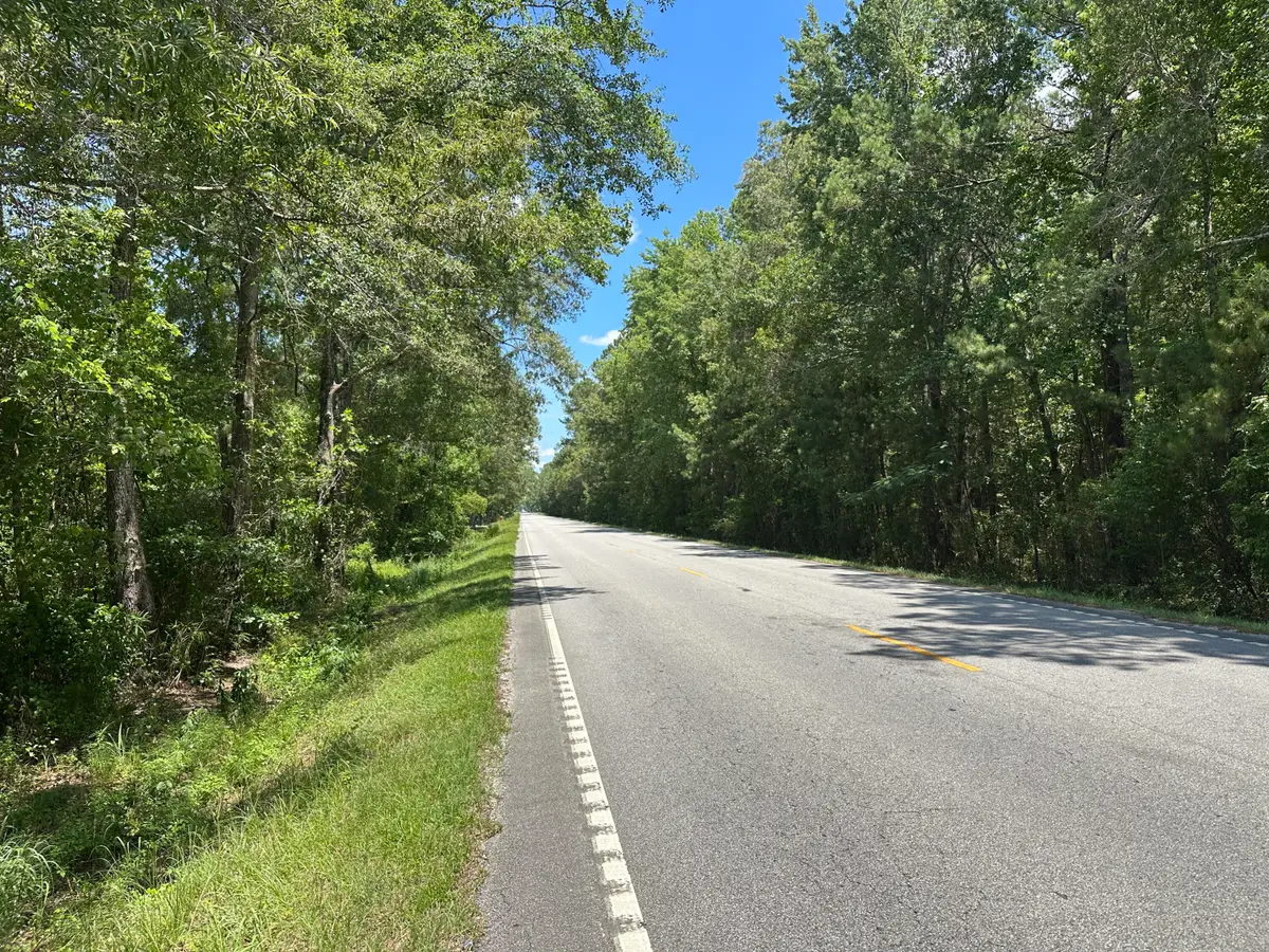 00 Highway 17a, Bonneau, SC 29431 - #1