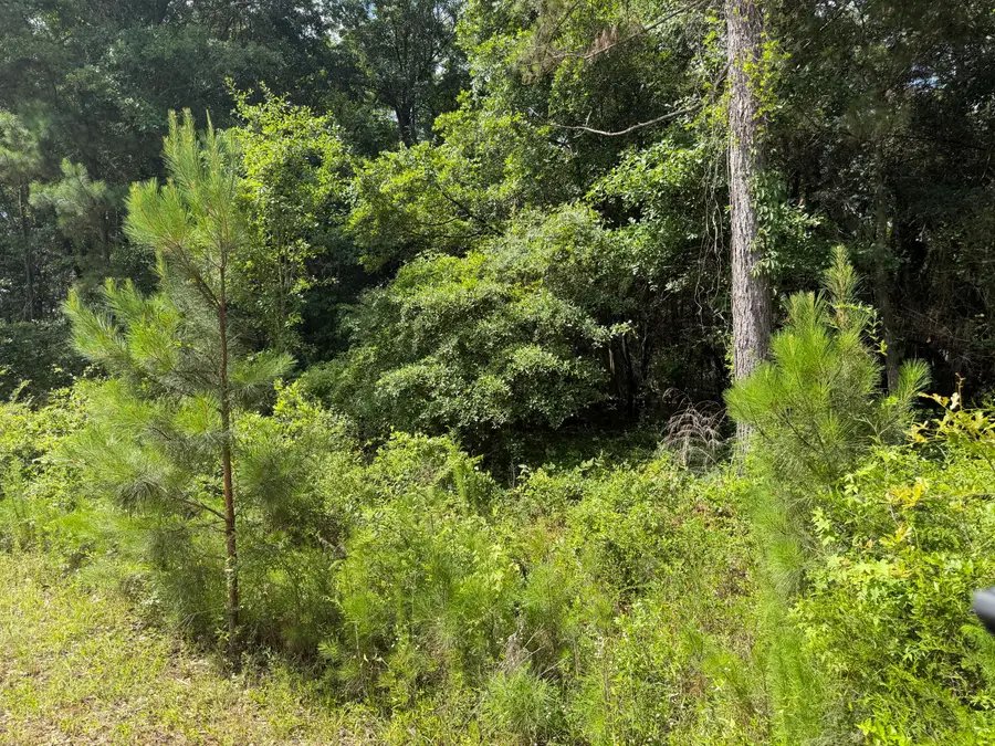 0 Norway Road, Orangeburg, SC 29115 - #2