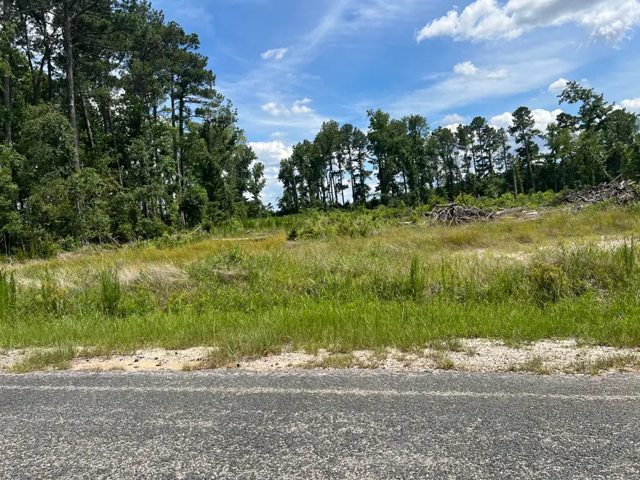 245 Wild Turkey State Rd S-38-465, Cameron, SC 29030 - #2
