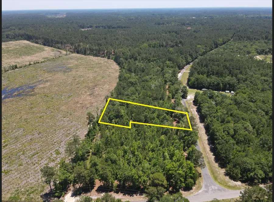 0 Tumbleweed Rd, Smoaks, SC 29481 - #3