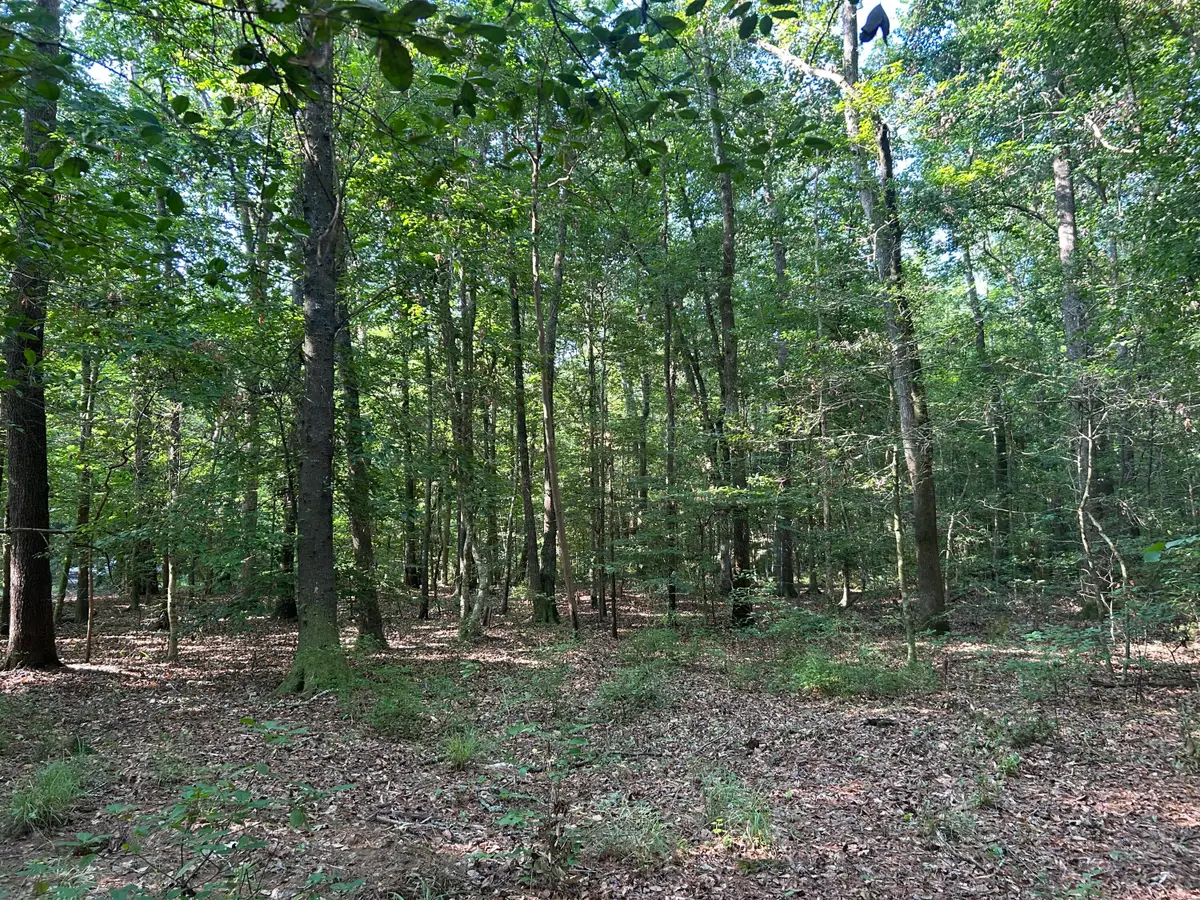 0 Swamp Fox Drive, Summerville, SC 29485 - #1
