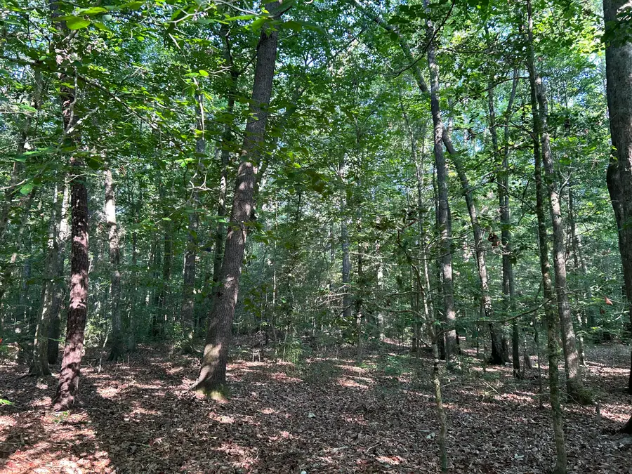 0 Swamp Fox Drive, Summerville, SC 29485 - #2