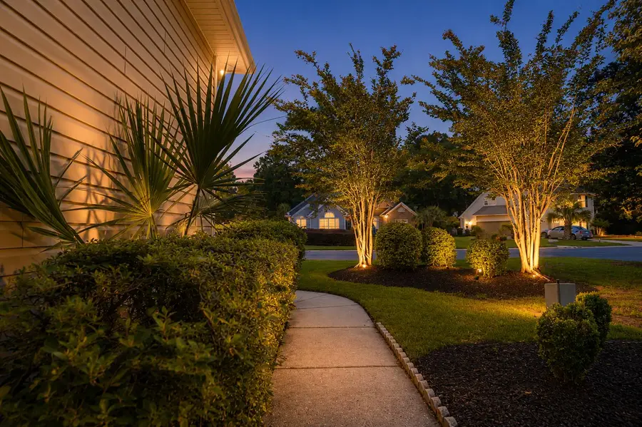 1140 Black Rush Circle, Mount Pleasant, SC 29466 - #3