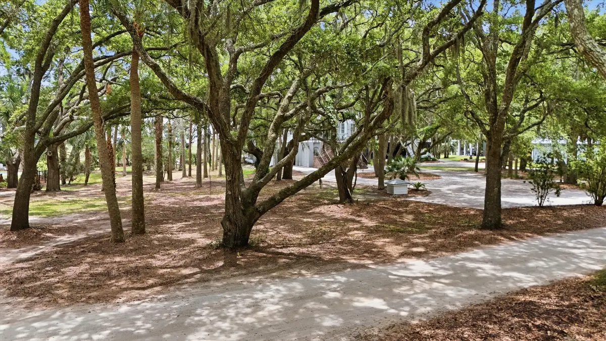 14 Hammocks Way, Edisto Island, SC 29438 - #1