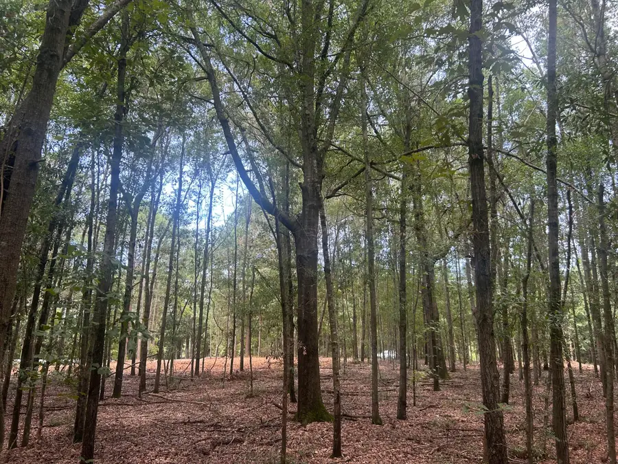 10 Francis Marion Boulevard, Summerton, SC 29148 - #2
