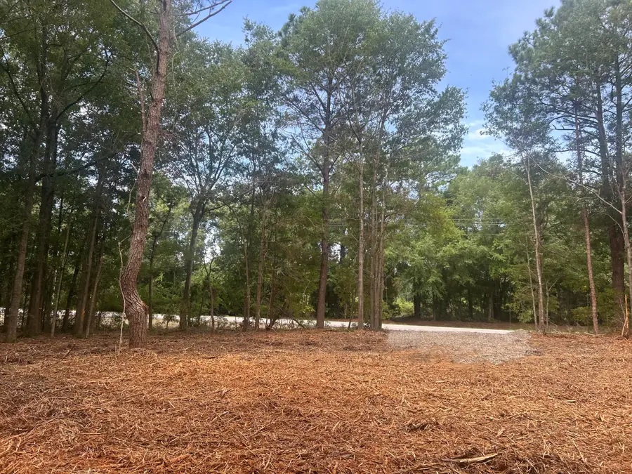 10 Francis Marion Boulevard, Summerton, SC 29148 - #3