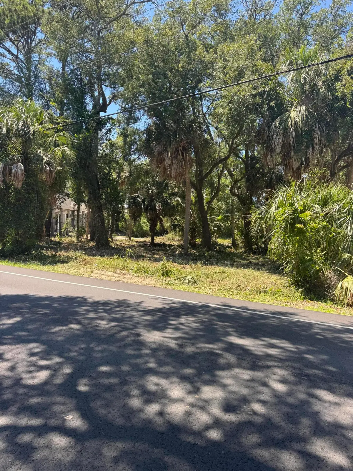 609 Jungle Road, Edisto Beach, SC 29438 - #1