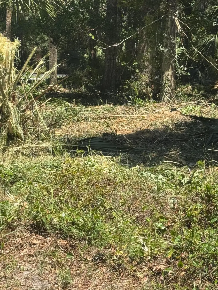 609 Jungle Road, Edisto Beach, SC 29438 - #2