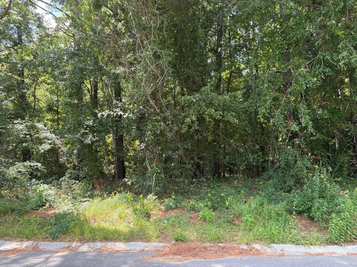 310 E Poplar Branch Drive, Moncks Corner, SC 29461 - #1