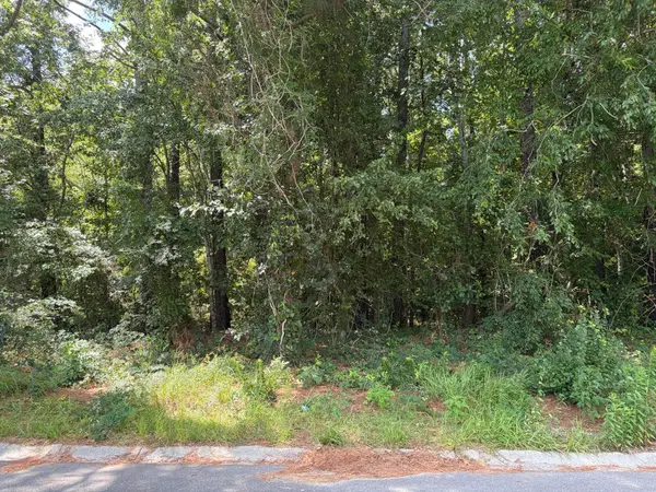 310 E Poplar Branch Drive, Moncks Corner, SC 29461