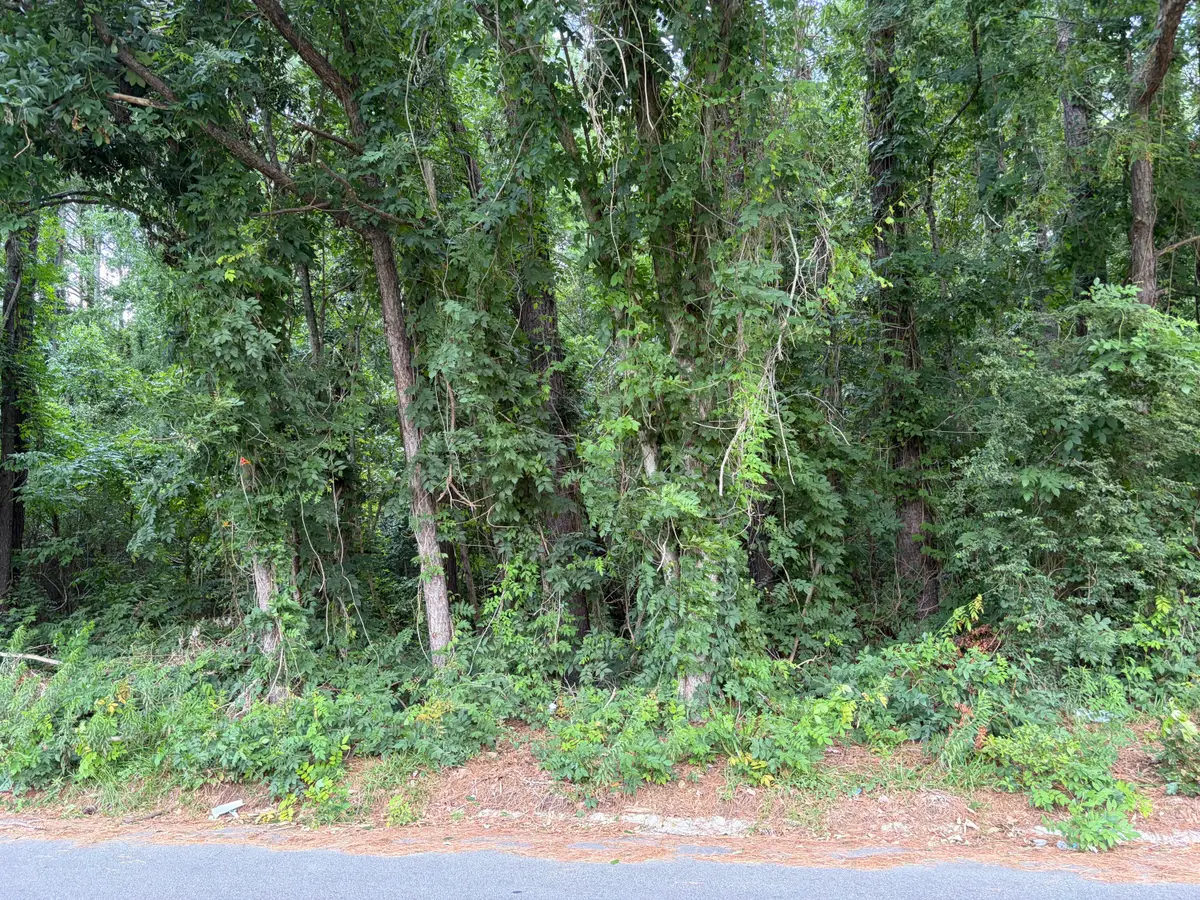 314 E Poplar Branch Drive, Moncks Corner, SC 29461 - #1