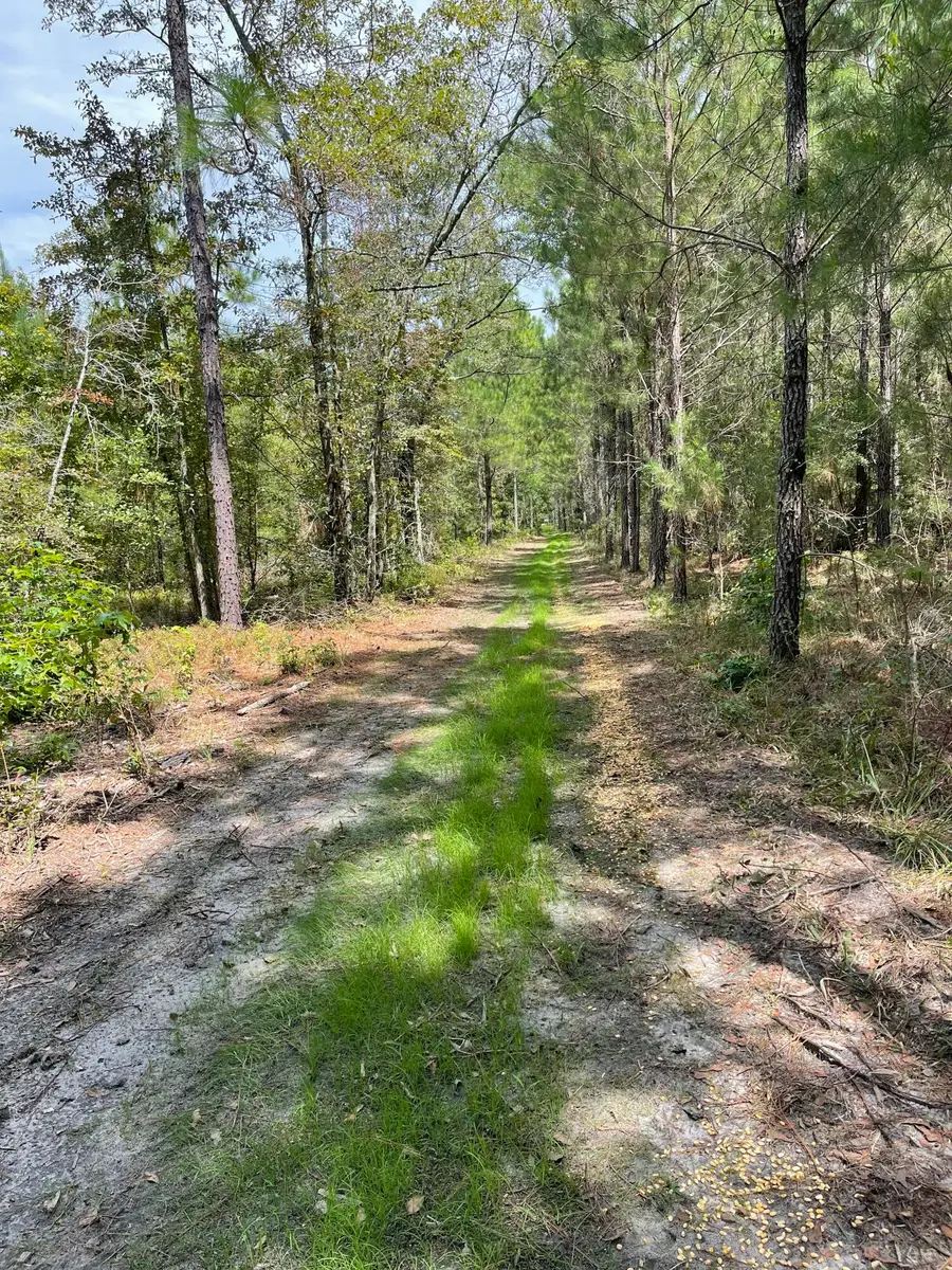 Tbd House Road, Summerton, SC 29148 - #2