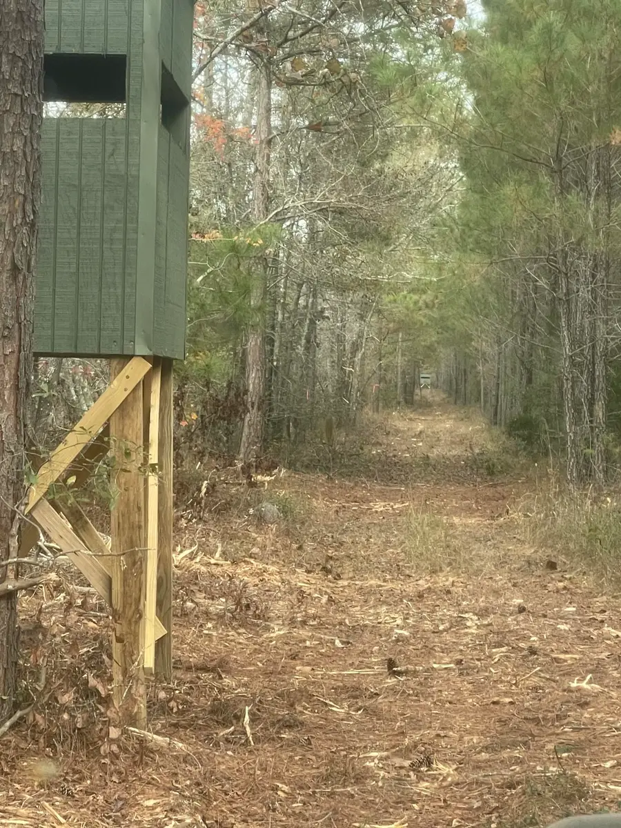 Tbd House Road, Summerton, SC 29148 - #3