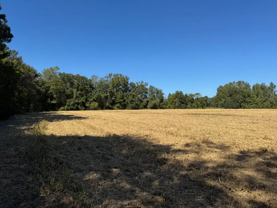 0 Clarks Hill Drive #3, Saint George, SC 29477 - #3