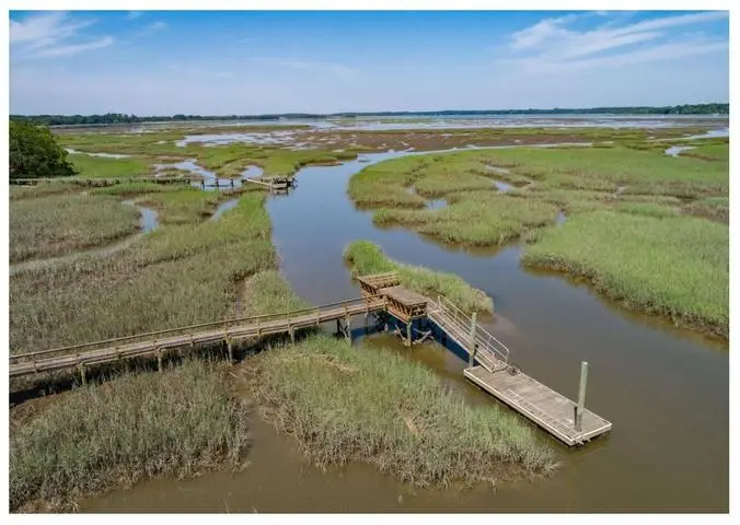 1451 Bears Bluff Road, Wadmalaw Island, SC 29487 - #3