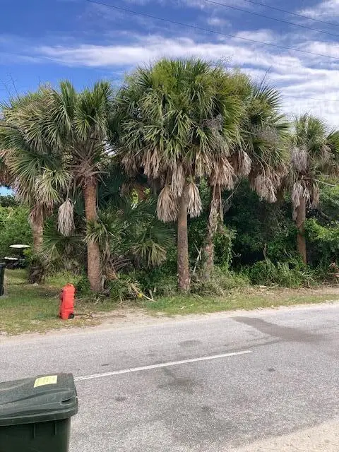 910 E Arctic Avenue, Folly Beach, SC 29439 - #3