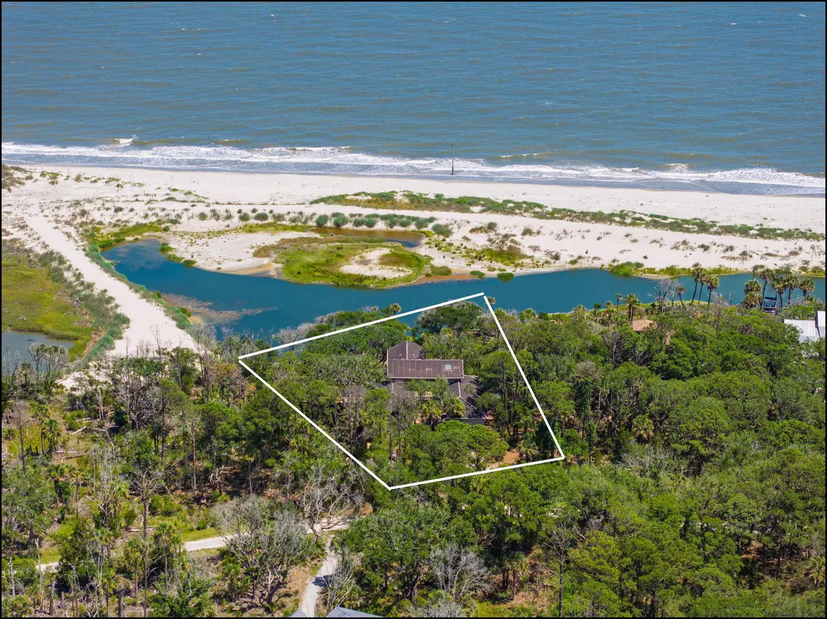 411 Pelican Flight Drive, Dewees Island, SC 29451 - #1