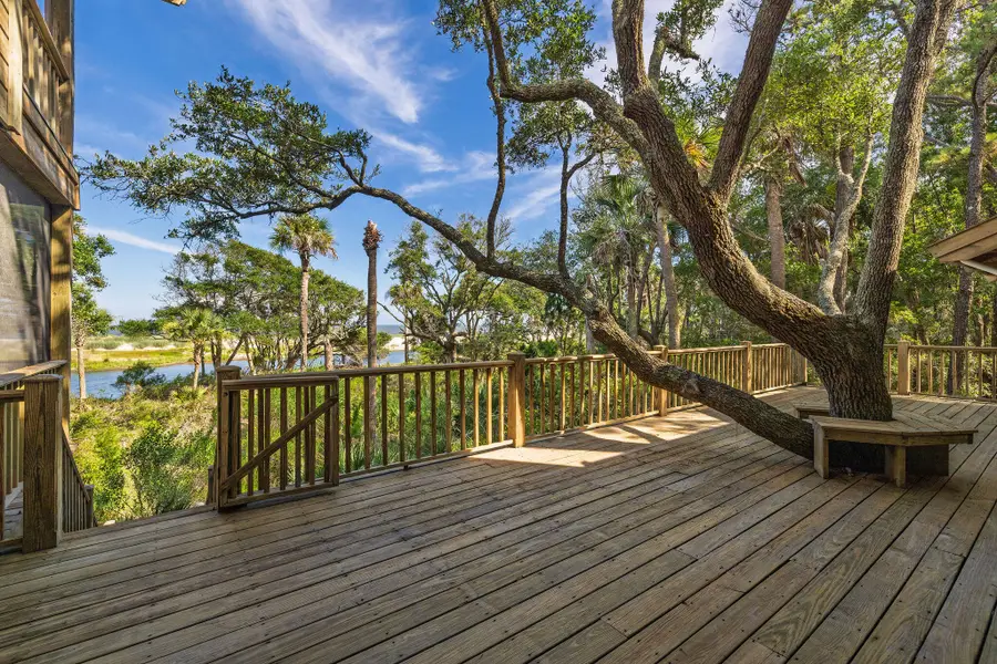 411 Pelican Flight Drive, Dewees Island, SC 29451 - #2
