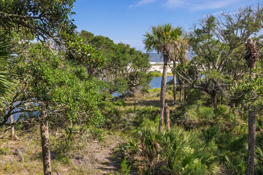 411 Pelican Flight Drive, Dewees Island, SC 29451 - #3