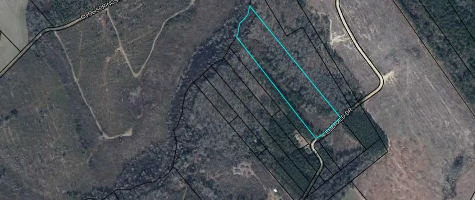 000 Emerald, Pinewood, SC 29125 - #1