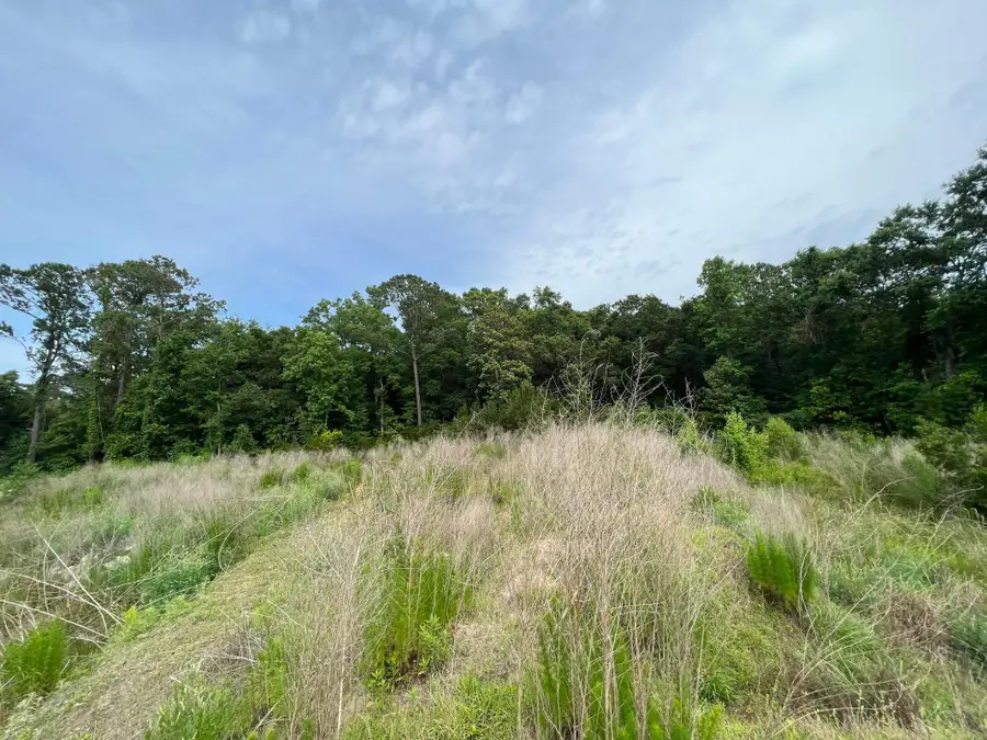 2017 Paul Chavis Lane Charleseton Lane, Charleston, SC 29412 - #3