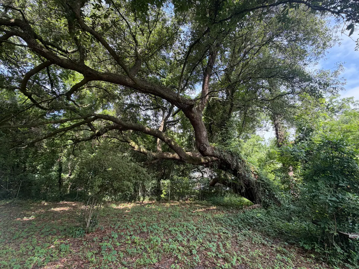 107 Lockhart Street, Walterboro, SC 29488 - #1
