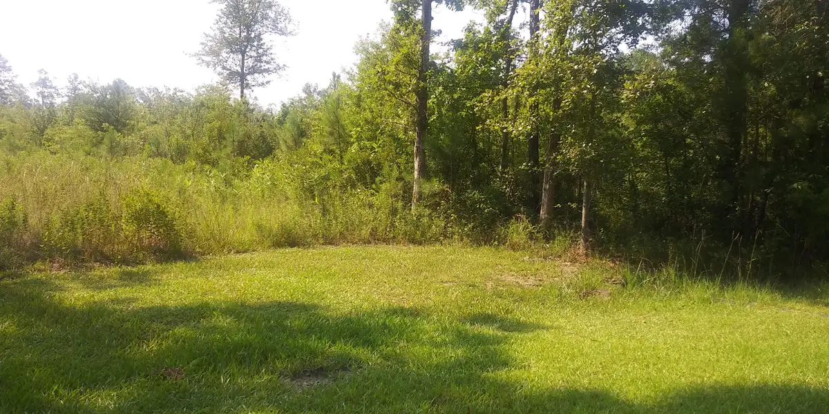 258 Truth Way #Lot  5, Cordesville, SC 29434 - #1